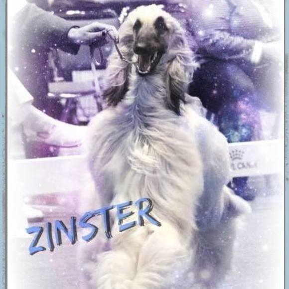 Meet your Posher, Katrina - Picture 1 of 1